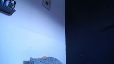 Snapshot of blue_morningstar chatting on 09/22/25, 12:40 bunbury online show from 09/22/25, 12:40