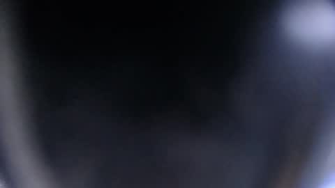 Snapshot of blue_morningstar chatting on 10/12/25, 01:43 bunbury online show from 10/12/25, 01:43