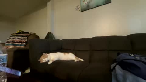 bluebloodednorsewitch online show from 10/16/25, 02:29