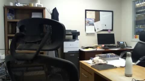 bluediamond777 online show from 12/31/24, 07:40