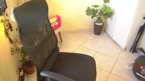 FLORAA online show from 02/13/25, 10:34