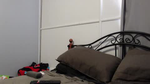 bob online show from 02/07/25, 11:34