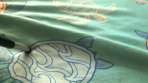 Bobby onbottom online show from 04/19/26, 11:40