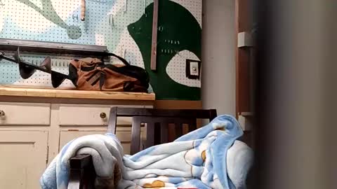 bobmarleybd1420 online show from 04/11/26, 10:08