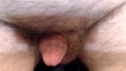 bobswan online show from 04/13/26, 06:35