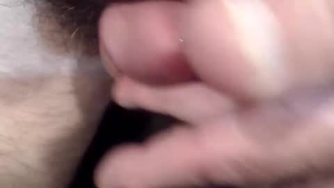 bobswan online show from 04/15/26, 02:46