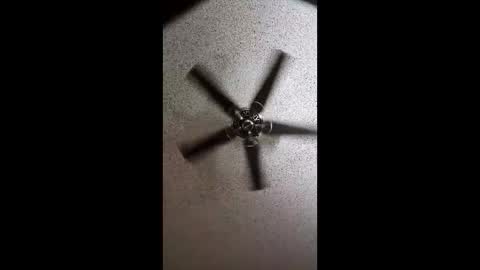 boca34345 online show from 03/02/26, 07:15