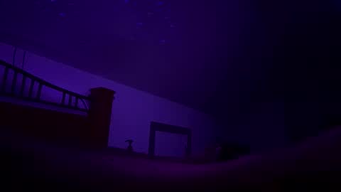 bodiddly64 online show from 10/12/25, 10:36