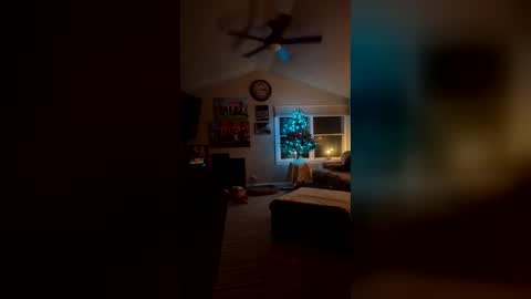 bodiddly64 online show from 12/14/25, 06:19