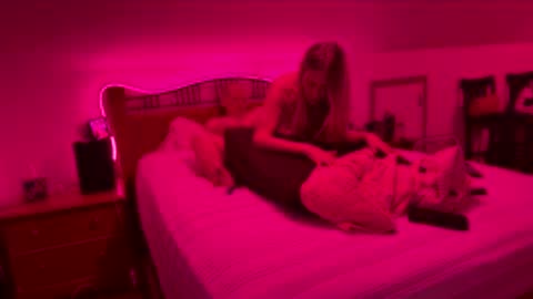 bodiddly64 online show from 02/15/26, 08:02