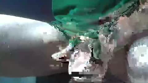 bogey58 online show from 12/08/24, 02:09