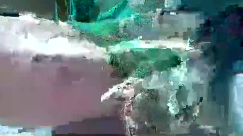 bogey58 online show from 02/12/25, 04:11