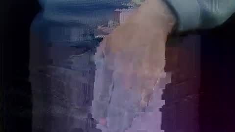 bogus25 online show from 03/01/26, 09:28