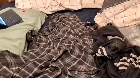 boiwithpussy online show from 02/16/25, 01:36