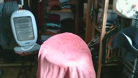 Bombero56 online show from 12/15/25, 03:16