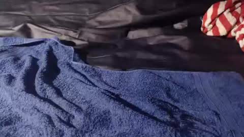 Bomm65 online show from 11/19/25, 03:12