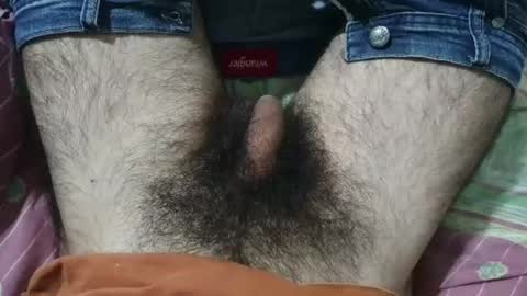 Im Bom - Tip if You Liked my Hairy Body - Private Show is Open - Read more about me in the bio below online show from 05/29/26, 08:23