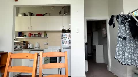 Snapshot of bondi333 chatting on 12/04/24, 09:13 Bondi online show from 12/04/24, 09:13