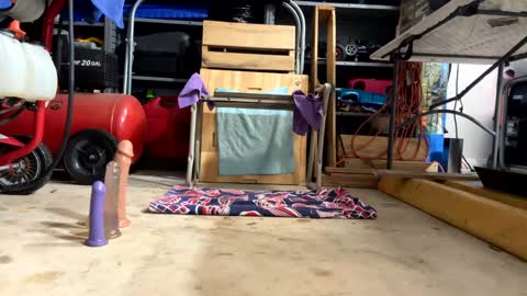 FRECKLES online show from 02/18/25, 02:38