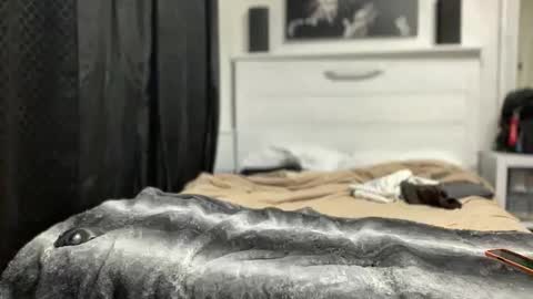 boner4you1994 online show from 04/19/26, 04:23