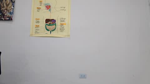 Boner Steve online show from 09/14/25, 03:49