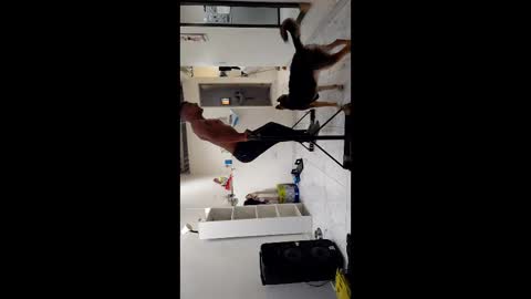 Boner Steve online show from 11/03/25, 07:26