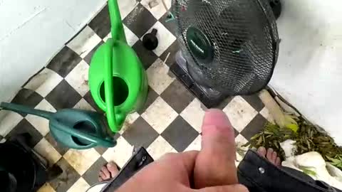 bonershot online show from 03/23/26, 05:39