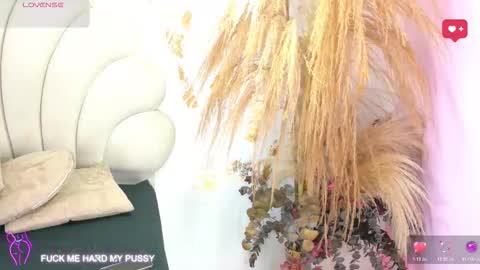 bonieklent online show from 02/03/26, 03:26