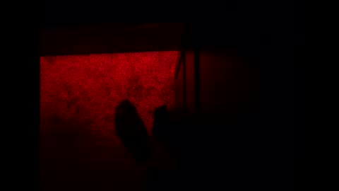 bonny8723 online show from 11/03/25, 10:21