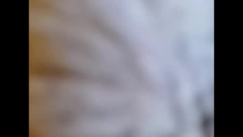 bonop1 online show from 01/01/25, 01:59