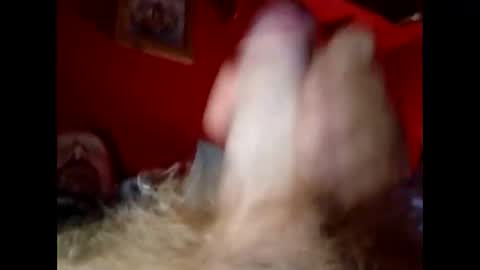 bonzoband online show from 12/20/24, 10:05