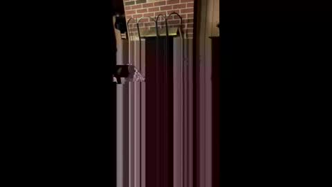 booboo1207 online show from 04/19/26, 10:56