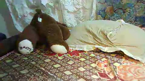 boobvherry online show from 02/11/25, 10:59