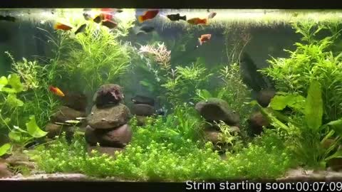 Booker Baxton online show from 12/08/24, 04:04