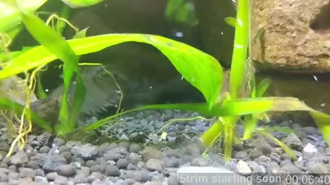 Booker Baxton online show from 01/14/25, 04:04