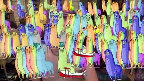 Booker Baxton online show from 01/15/25, 07:05