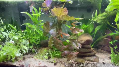 Booker Baxton online show from 02/06/25, 04:10