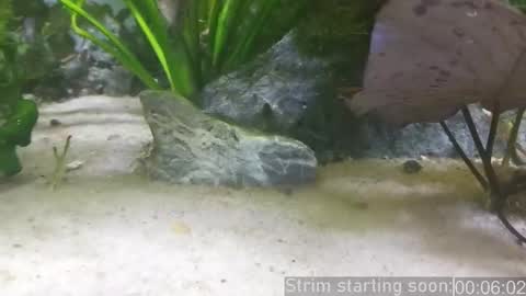 Booker Baxton online show from 03/12/25, 03:02