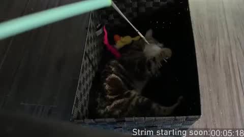 Booker Baxton online show from 10/04/25, 03:04