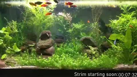 Booker Baxton online show from 10/07/25, 03:04