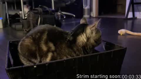 Booker Baxton online show from 10/11/25, 03:06