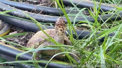 Booker Baxton online show from 10/30/25, 02:57