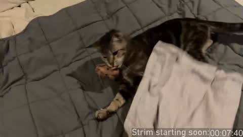 Booker Baxton online show from 01/10/26, 04:03