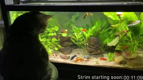 Booker Baxton online show from 03/19/26, 02:59