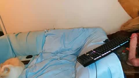 boredandirish21 online show from 10/04/25, 04:49