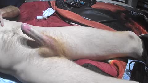 bornwild13 online show from 11/11/25, 10:37