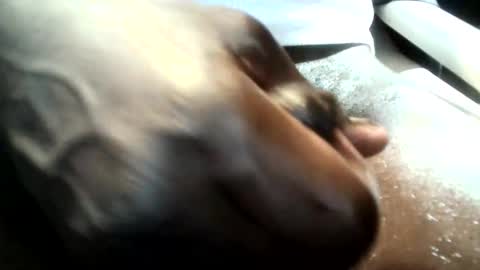 botofogo online show from 01/19/26, 08:07