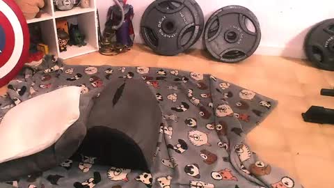 Pumpkin Butt online show from 04/11/26, 07:51