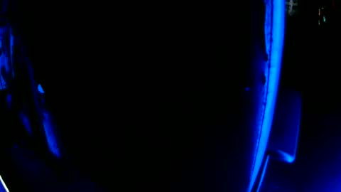 Bowerboi1217 online show from 07/04/26, 03:29