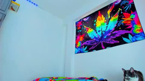 Edward ftm trans queerslave online show from 02/03/26, 06:46